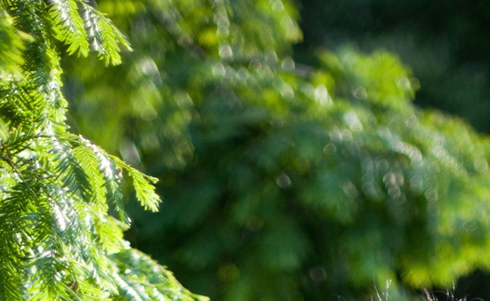 Surviving a Stroke at 33 (and Blogging About&nbsp;It)